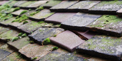 Charndon roof repair costs